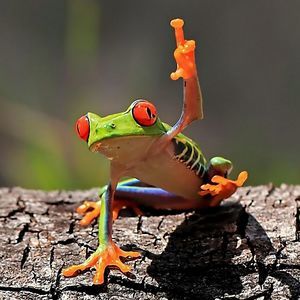 Meet your Posher, Luz